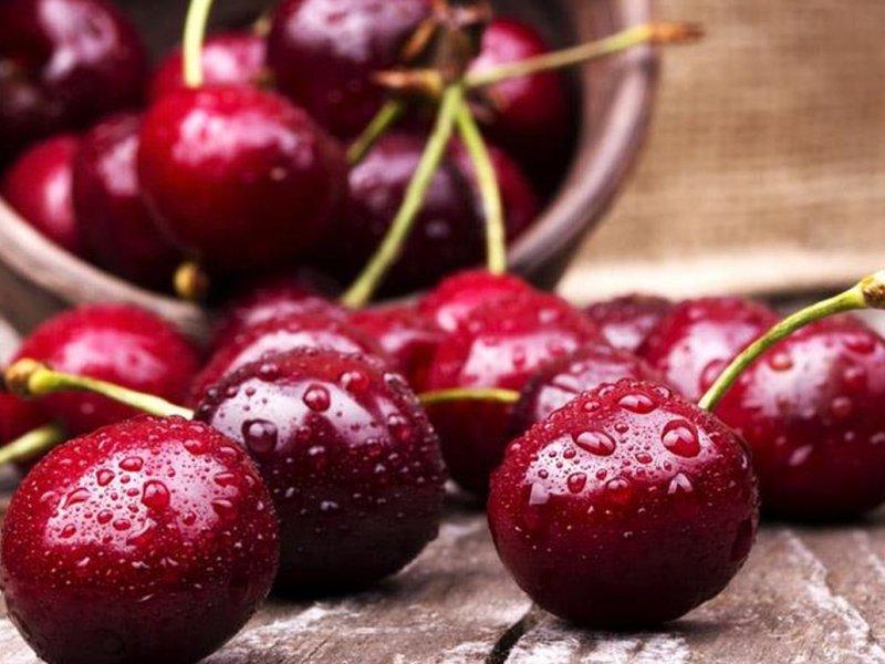 Вишня купить саженцы из питомника в Рославле