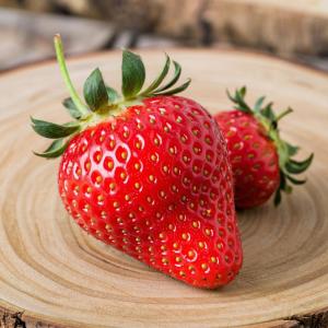 Клубника "КИМБЕРЛИ" (7шт.)